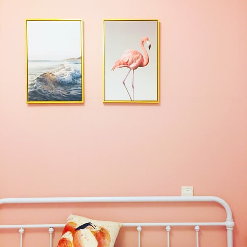 savvy-interiors-by-design-colour-consultation-flamingo-stock
